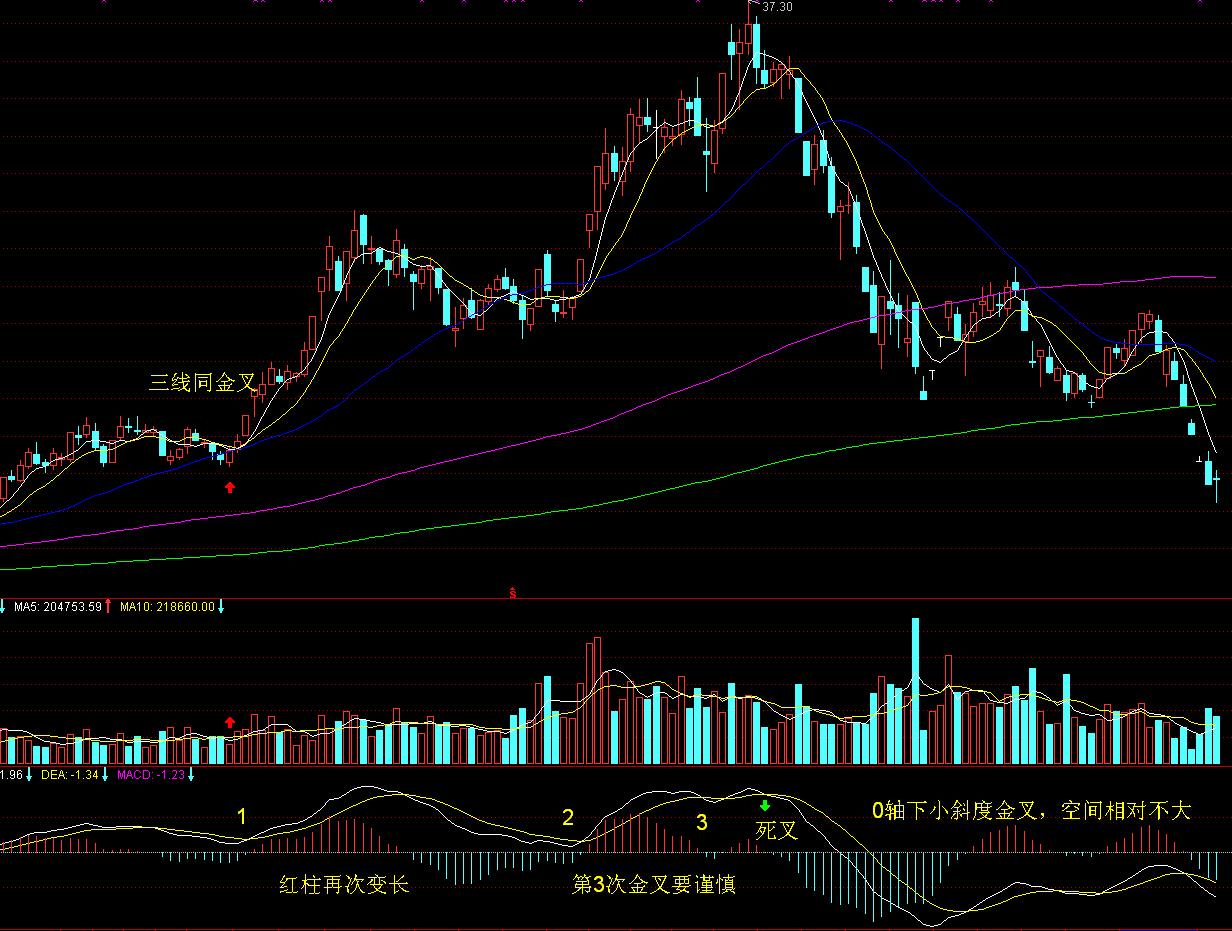 “直航＋免签”激活高尔夫入境游 福建成韩国球友新宠