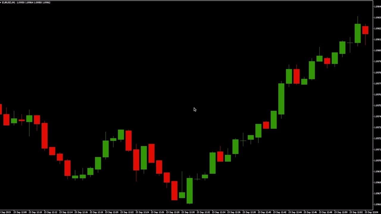 今天下午，湛江将开展全市爱国卫生运动统⼀行动