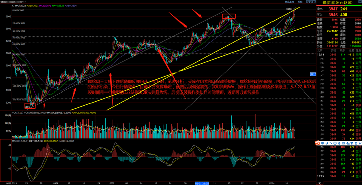 “秋冻”“贴秋膘”有讲究！专家回应秋季养生热门话题